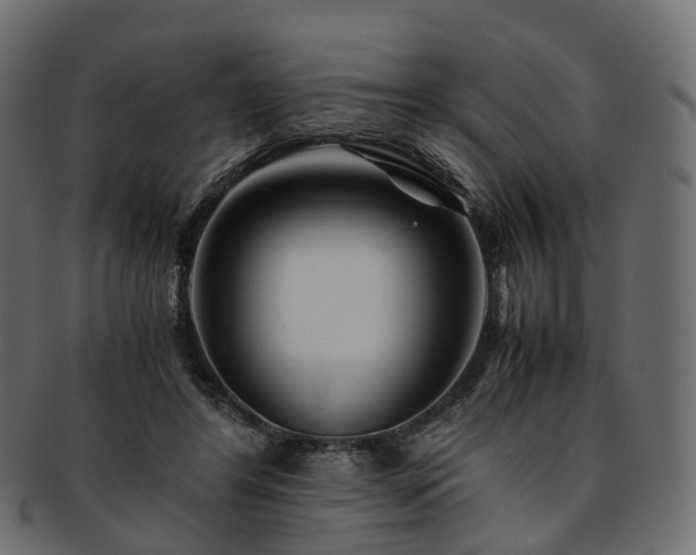 X0000093230404200710031502