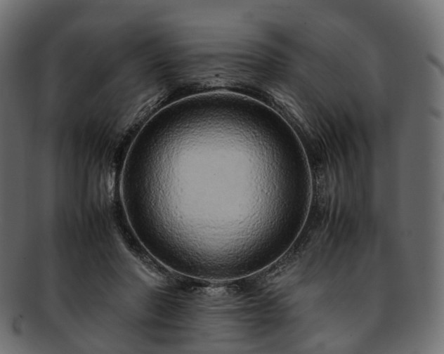 X0000093230406200710031502