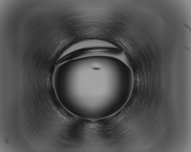 X0000093230408200710031502