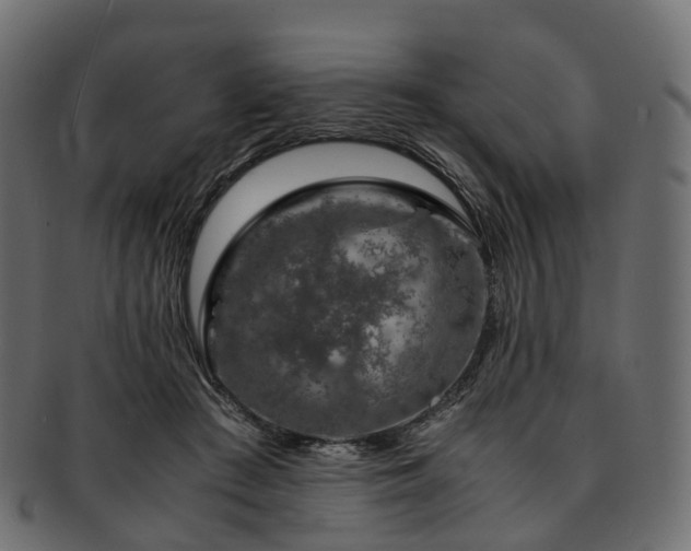 X0000093230409200710031502