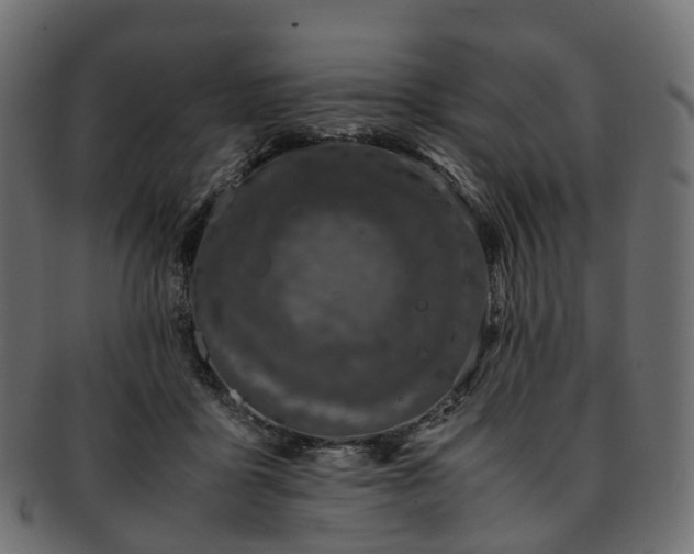 X0000093230411200710031502