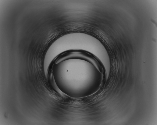 X0000093230412200710031502