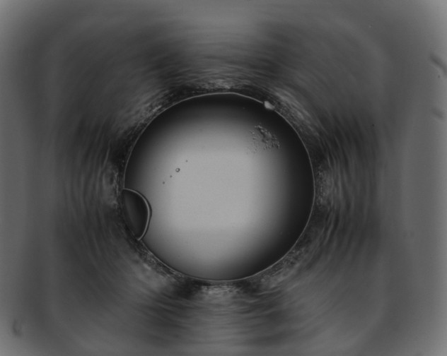 X0000093230414200710031502