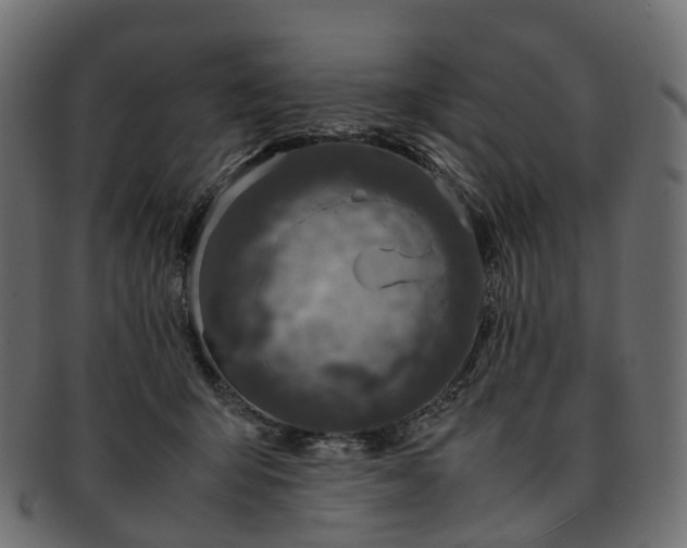 X0000093230415200710031502