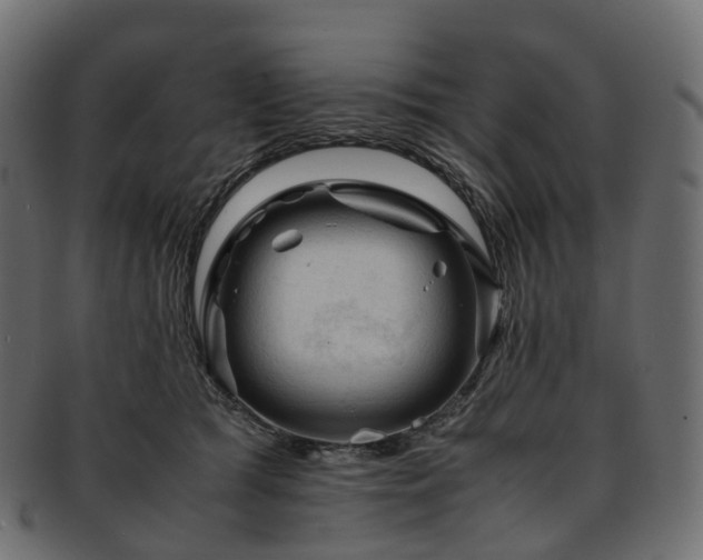 X0000093230417200710031502