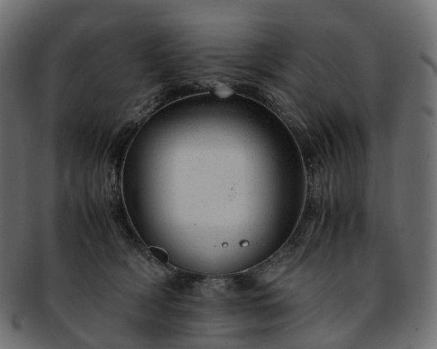 X0000093230418200710031502