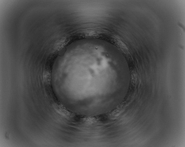 X0000093230419200710031502