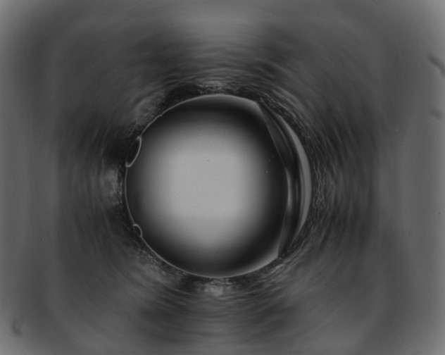 X0000093230420200710031502