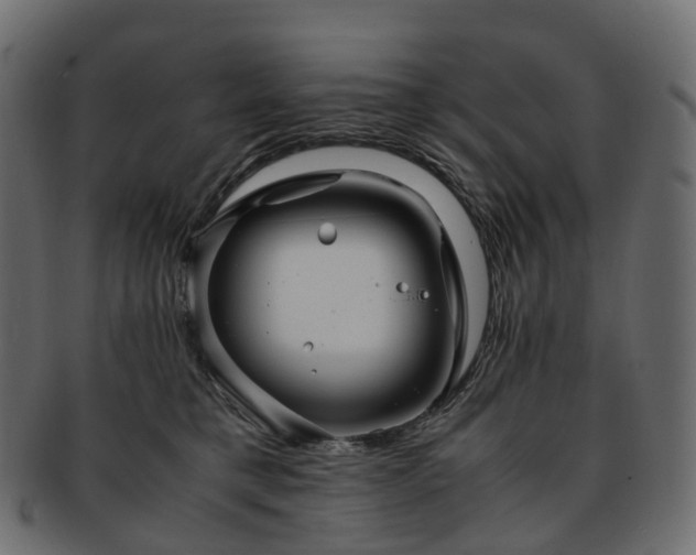 X0000093230421200710031502