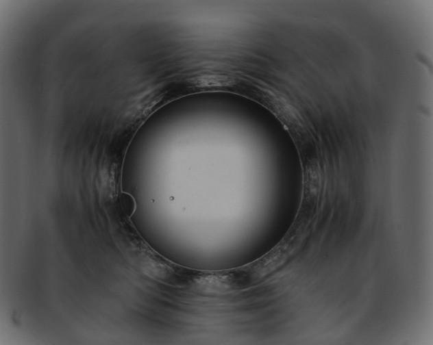 X0000093230422200710031502