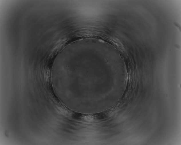 X0000093230423200710031502