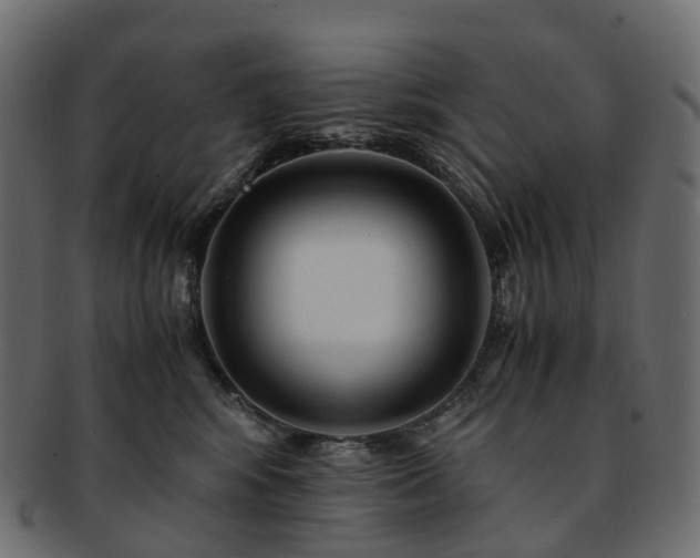 X0000093230424200710031502