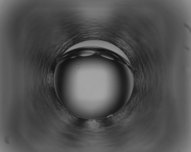 X0000093230425200710031502