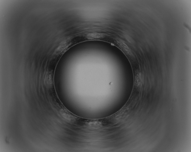 X0000093230426200710031502