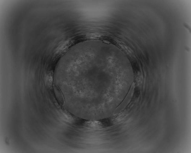 X0000093230427200710031502