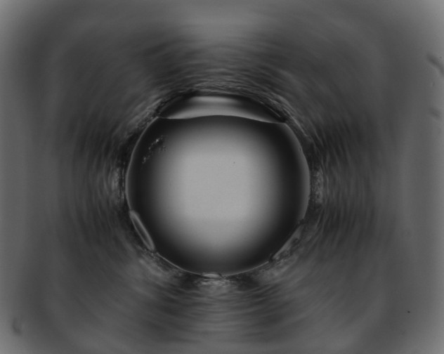 X0000093230428200710031502