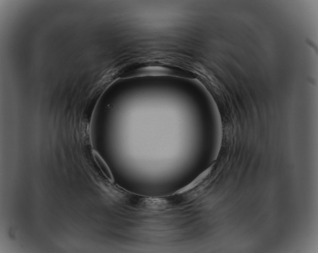 X0000093230429200710031502