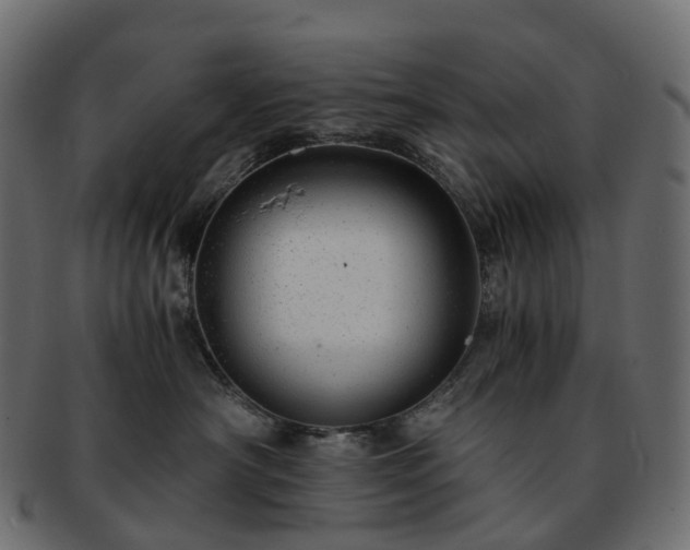 X0000093230430200710031502