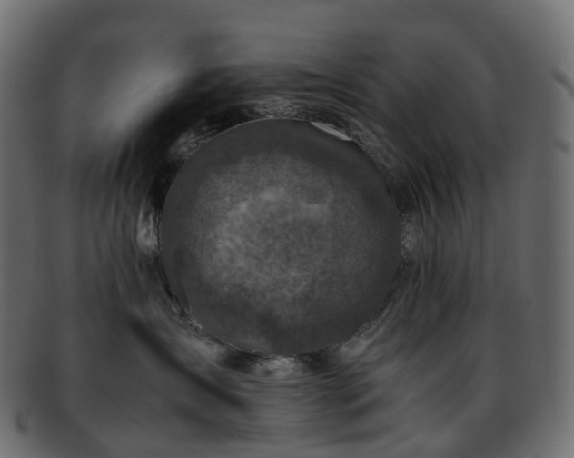 X0000093230431200710031502