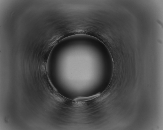 X0000093230432200710031502