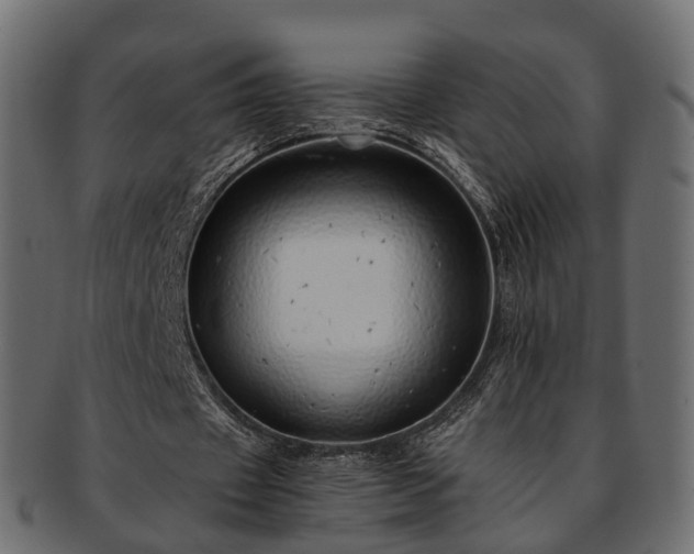 X0000093230433200710031501