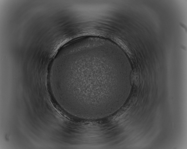 X0000093230434200710031501