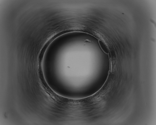 X0000093230435200710031502