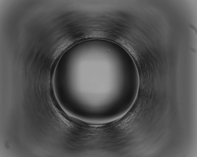 X0000093230437200710031502