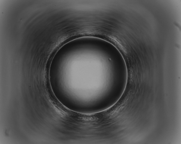 X0000093230439200710031502