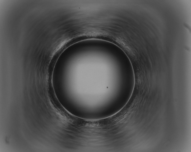 X0000093230440200710031502