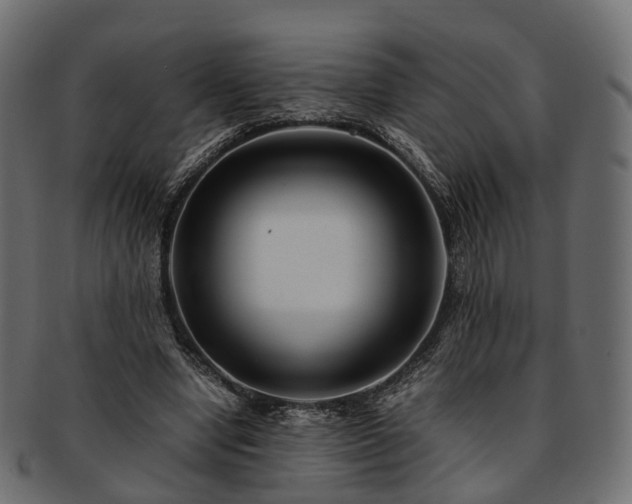 X0000093230442200710031502