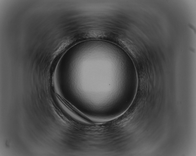 X0000093230443200710031502