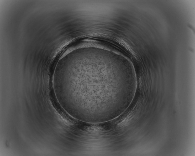 X0000093230444200710031502