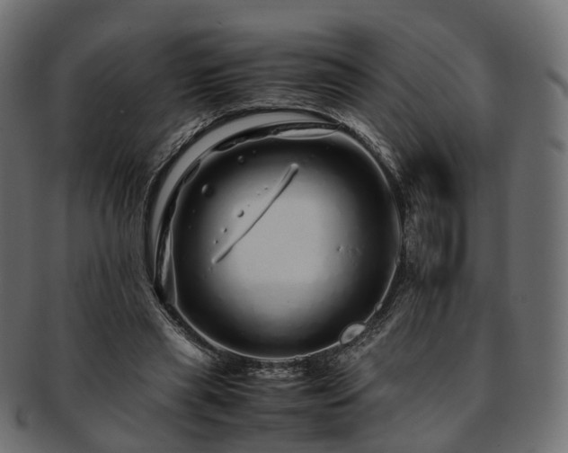 X0000093230445200710031502