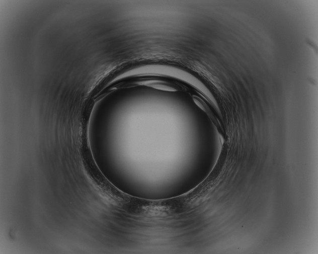 X0000093230448200710031502