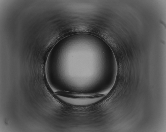 X0000093230449200710031502