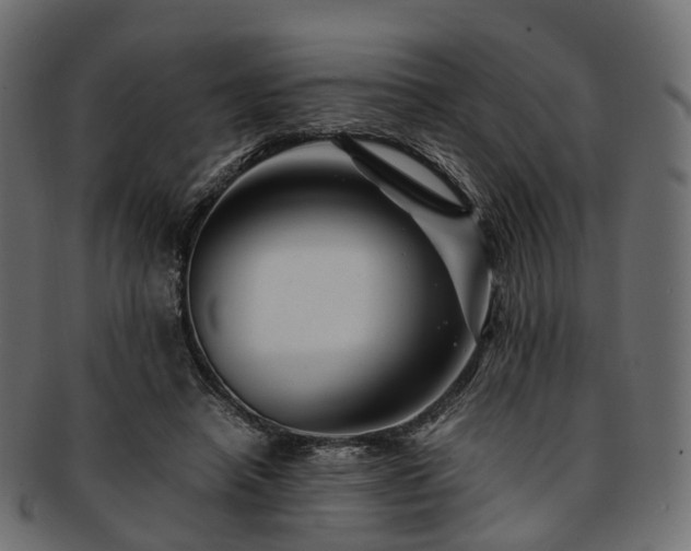 X0000093230450200710031502