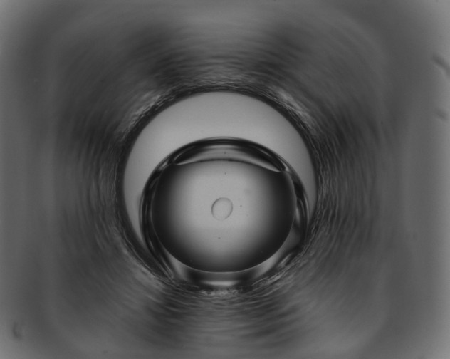 X0000093230452200710031502