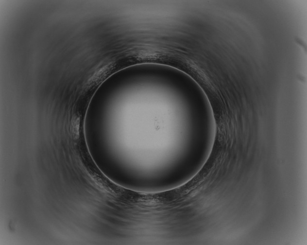 X0000093230454200710031502