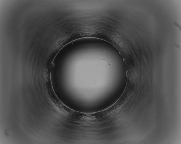 X0000093230455200710031502