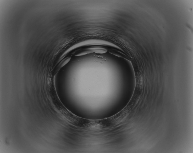 X0000093230456200710031502