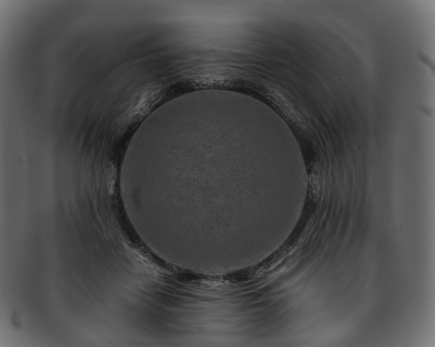 X0000093230458200710031502