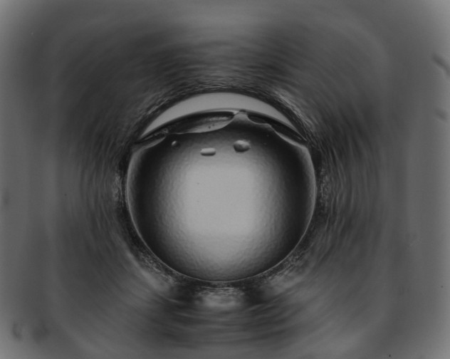 X0000093230459200710031502