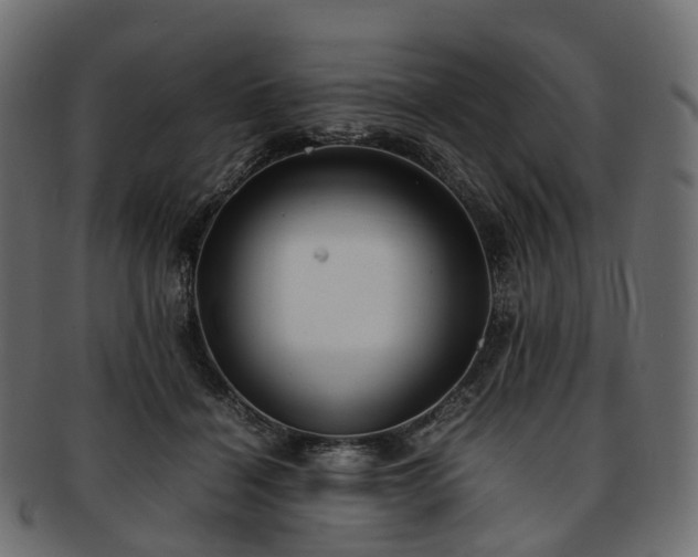 X0000093230460200710031502