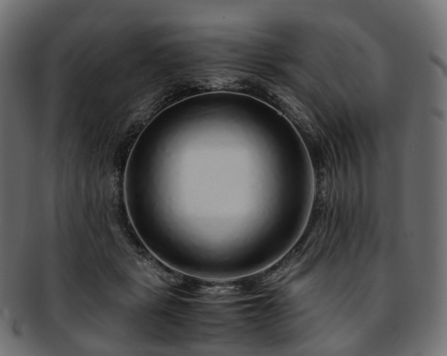 X0000093230461200710031502