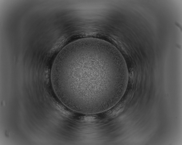 X0000093230462200710031502