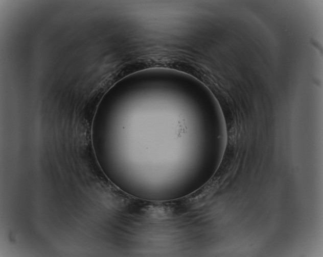 X0000093230464200710031502