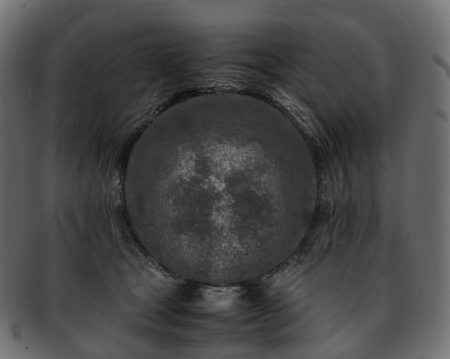 X0000093230465200710031502