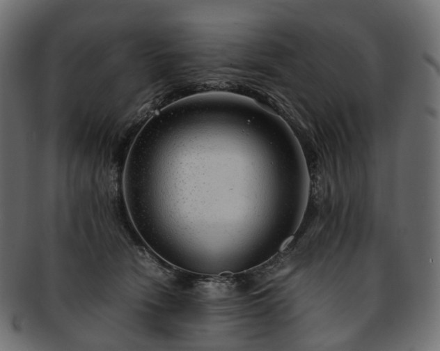 X0000093230466200710031502