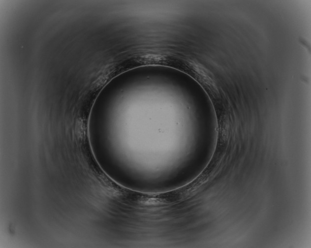 X0000093230467200710031502